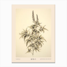 Yomogi Japanese Mugwort Vintage Japanese Botanical Poster Canvas Print