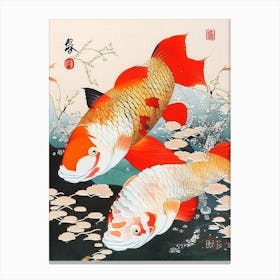 Shusui Koi Fish 1 , Ukiyo E Style Japanese Canvas Print
