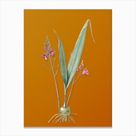 Vintage Pine Pink Botanical on Sunset Orange Canvas Print