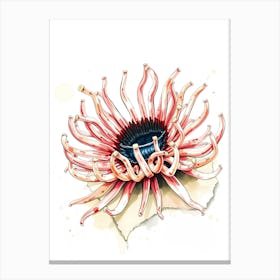 Pink Sea Anemone Canvas Print