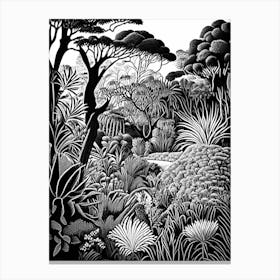 Kirstenbosch Botanical Gardens, South Africa Linocut Black And White Vintage Canvas Print