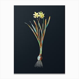 Vintage Lesser Wild Daffodil Botanical Watercolor Illustration on Dark Teal Blue n.0139 Canvas Print