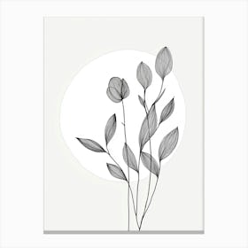 Flower Drawing 4 Canvas Print