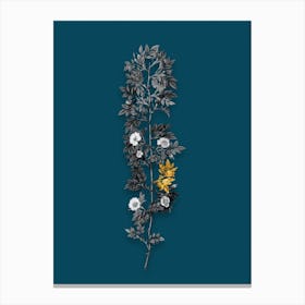 Vintage Cuspidate Rose Black and White Gold Leaf Floral Art on Teal Blue Canvas Print