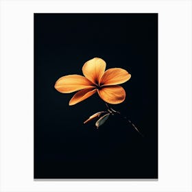 Orange Flower On Black Background Canvas Print