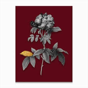 Vintage Provins Rose Black and White Gold Leaf Floral Art on Burgundy Red n.0333 Canvas Print