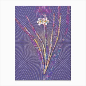Geometric Primrose Peerless Mosaic Botanical Art on Veri Peri n.0124 Canvas Print