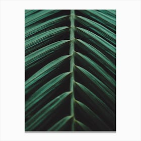 Green Palm Leaf Ii Canvas Print