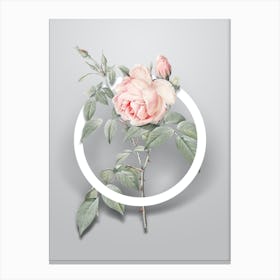 Vintage Fragrant Rosebush Minimalist Flower Geometric Circle on Soft Gray n.0013 Canvas Print