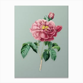 Vintage Gallic Rose Botanical Art on Mint Green n.0702 Canvas Print