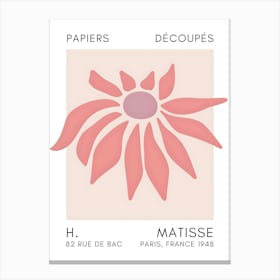 Matisse 30 Canvas Print