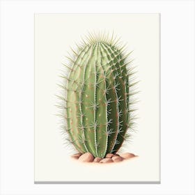 Ferocactus Cactus Marker Art 1 Canvas Print