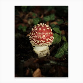 Red Mushroom // Nature Photography Canvas Print
