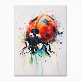 Ladybug Colourful Watercolour 1 Canvas Print