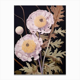 Flower Illustration Scabiosa 4 Canvas Print