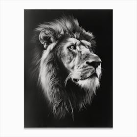Barbary Lion Charcoal Drawing Symbolic Imagery 2 Canvas Print