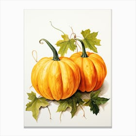 Jarrahdale Pumpkin Watercolour Illustration 2 Canvas Print