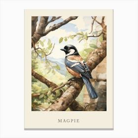 Beatrix Potter Inspired  Animal Watercolour Magpie 1 Canvas Print