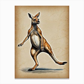 Kangaroo 4 Canvas Print