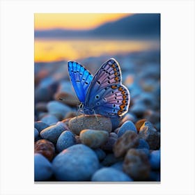 Blue Butterfly On Rocks Canvas Print