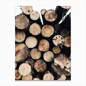 Stacked Logs Canvas Print