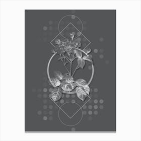 Vintage Pink Rosebush Botanical with Line Motif and Dot Pattern in Ghost Gray n.0143 Canvas Print