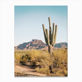 North Phoenix Desert Canvas Print