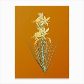Vintage Yellow Asphodel Botanical on Sunset Orange n.0117 Canvas Print