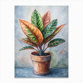 Potted Plant 3 Canvas Print