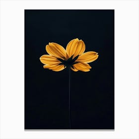 Single Yellow Flower 1 Canvas Print