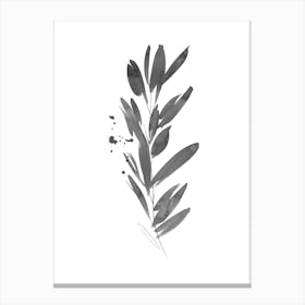 Minimalist Botanical Leaf Illustration 1 Canvas Print