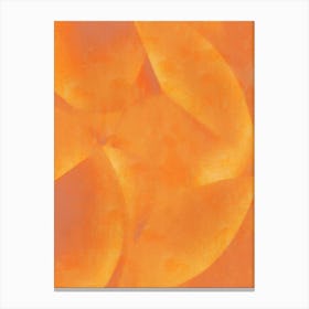 Mature Mango Canvas Print