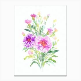 Carnations Watercolour Flower Canvas Print
