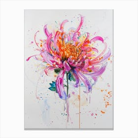 Chrysanthemum 2 Canvas Print