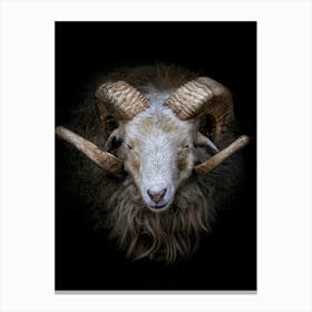 Ram Portrait Canvas Print