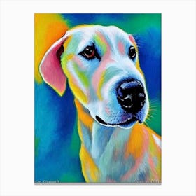 Miniature Bull Terrier Fauvist Style dog Canvas Print