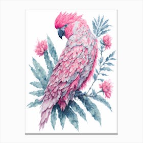 Pink Cockatoo Painting (7) Canvas Print