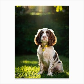 English Spaniel Puppy Radiating Adorableness Wearing A Shimmering Gold Collar Perched On A Lush G (3) Toile