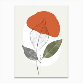 Leaf In The Sun Canvas Print