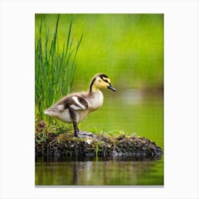 Baby Duckling White And Yellow With A Fluffy Head Perching Precariously On The Edge Of A Crystal Canvas Print