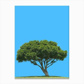Lone Tree Against Blue Sky Canvas Print