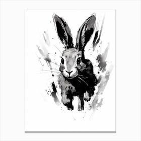 Rabbit Prints Ink Drawing Black And White 3 Canvas Print