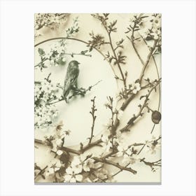 Bird On A Branch 1 Canvas Print