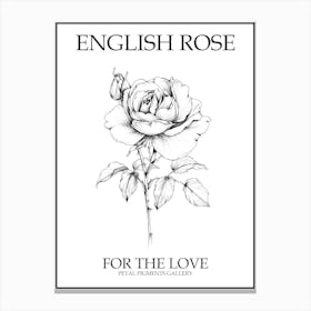 English Rose Black And White Line Drawing 1 Poster Canvas Print