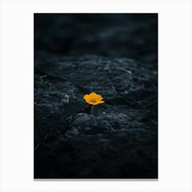 Single Flower On A Rock 9 Canvas Print