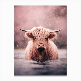 Pink Photography Style Of Highland Cow In The Rain 1 Canvas Print