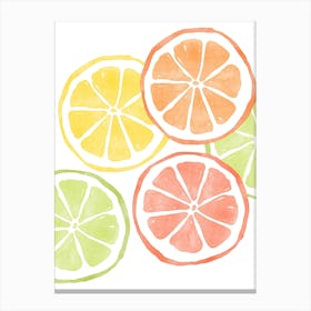 Citrus Shuffle Canvas Print