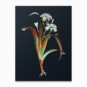 Vintage Iris Fimbriata Botanical Watercolor Illustration on Dark Teal Blue n.0265 Canvas Print