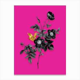 Vintage Alpine Rose Black and White Gold Leaf Floral Art on Hot Pink n.1010 Canvas Print