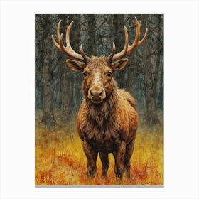 Elk In The Woods Canvas Print